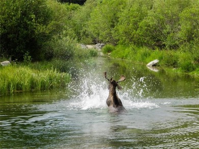 Set on 14 pristine acres along the Swan River, 2717 Tiger Road - photo 34