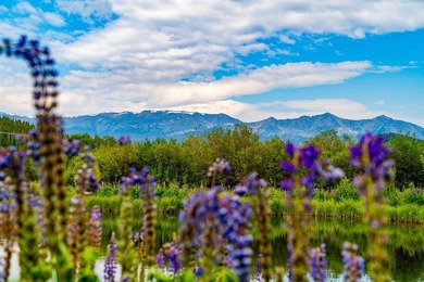 Set on 14 pristine acres along the Swan River, 2717 Tiger Road - photo 39