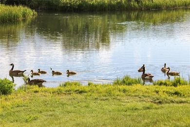 Set on 14 pristine acres along the Swan River, 2717 Tiger Road - photo 40