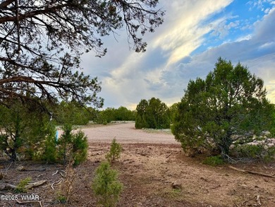 White Mountain Lake Lot Sale Pending in Show Low Arizona