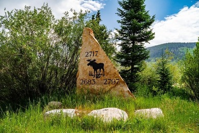 Set on 14 pristine acres along the Swan River, 2717 Tiger Road - photo 45