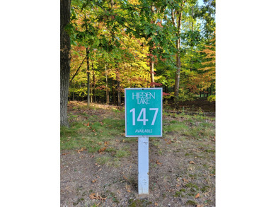 Oatman Lake Lot For Sale in Richland Michigan