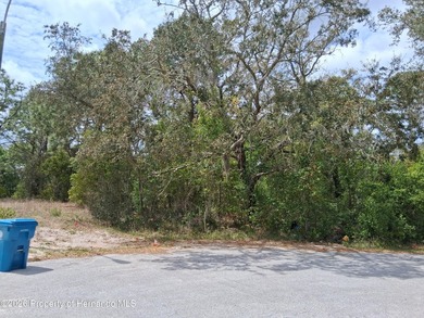 Weeki Wachee Lake Lot Sale Pending in Spring Hill Florida