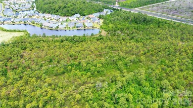 Discover the potential of this 32.31-acre parcel located along - photo 14