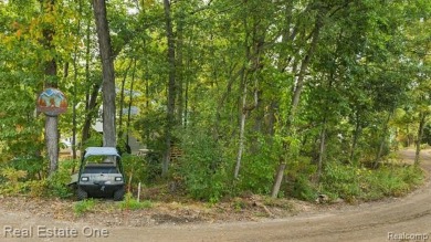 Lake Lot For Sale in Milford, Michigan