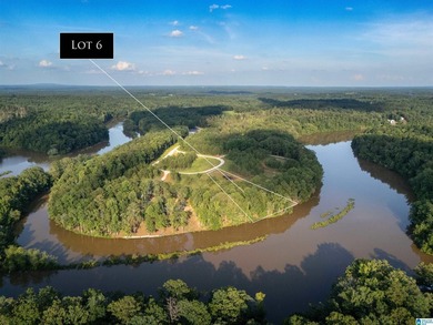 Rare opportunity on Lake Wedowee! This beautiful cleared lot on - photo 4