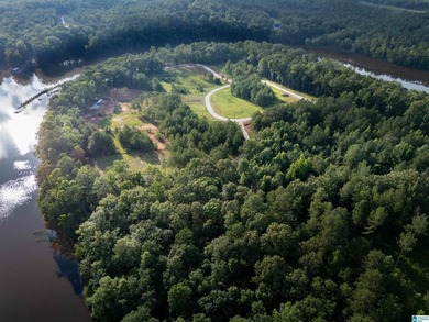 Rare opportunity on Lake Wedowee! This beautiful cleared lot on - photo 5