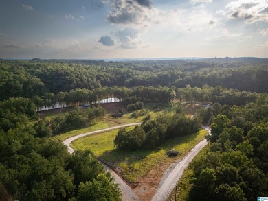 Rare opportunity on Lake Wedowee! This beautiful cleared lot on - photo 6