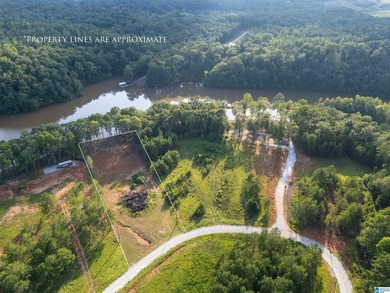 Rare opportunity on Lake Wedowee! This beautiful cleared lot on - photo 7