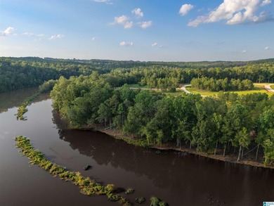 Rare opportunity on Lake Wedowee! This beautiful cleared lot on - photo 10