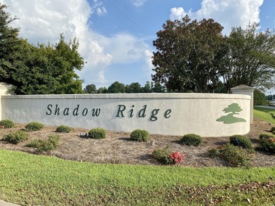 BUILD YOUR DREAM HOUSE in the gorgeous SHADOW RIDGE Golf - photo 11