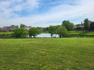 (private lake, pond, creek) Lot For Sale in Mokena Illinois