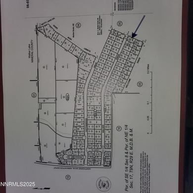 Walker Lake Lot For Sale in Walker Lake Nevada