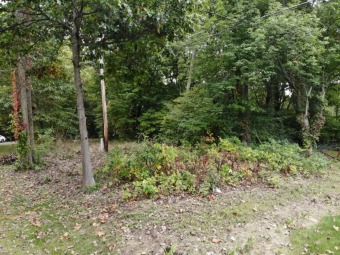 Vacant lot in Haley sub-division with Cable/Little Crooked Access - Lake Lot For Sale in Dowagiac, Michigan