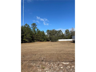 Sapelo River Commercial For Sale in Townsend Georgia