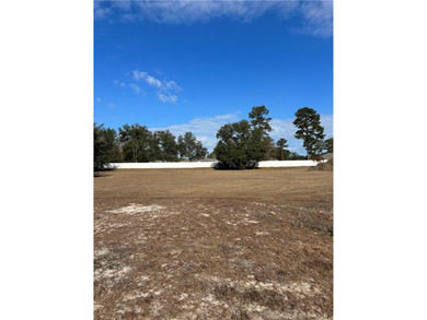 Sapelo River Commercial For Sale in Townsend Georgia