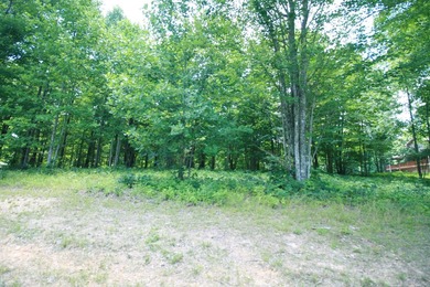 Prime 4.1 acres(2 lots combined) see plat. Both lots each - photo 4