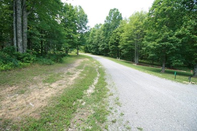 Prime 4.1 acres(2 lots combined) see plat. Both lots each - photo 5