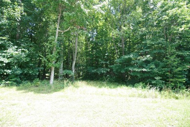 Prime 4.1 acres(2 lots combined) see plat. Both lots each - photo 6