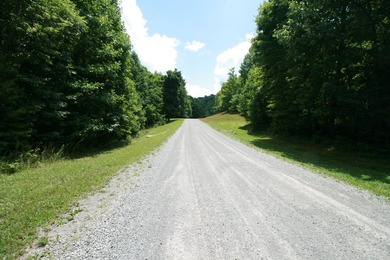 Prime 4.1 acres(2 lots combined) see plat. Both lots each - photo 7