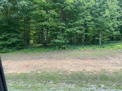 Prime 4.1 acres(2 lots combined) see plat. Both lots each - photo 9