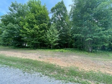 Prime 4.1 acres(2 lots combined) see plat. Both lots each - photo 10