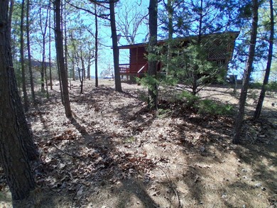 This 884 sq ft log cabin sits in Sardis Acres overlooking the - photo 41