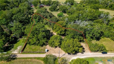  Lot For Sale in Gonzales Texas