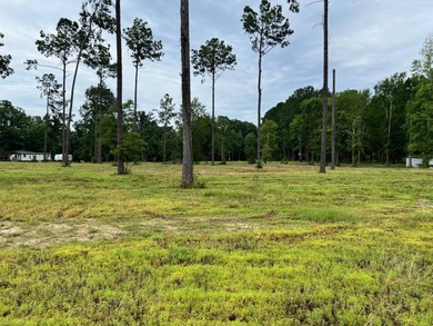 Toledo Bend Reservoir Lot For Sale in Many Louisiana