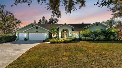 (private lake, pond, coastal) Home For Sale in Plant City Florida