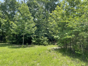 Lake Lot Off Market in Pall Mall, Tennessee