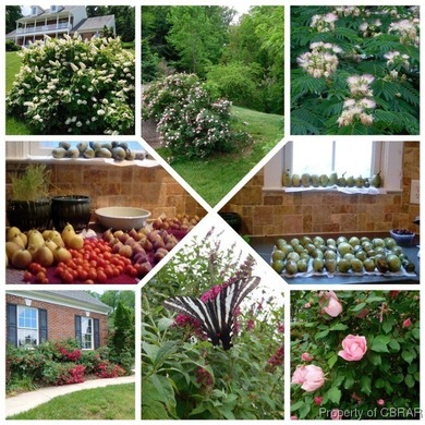 Nestled along the Potomac River and Aquia Creek, this - photo 45
