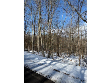 (private lake, pond, coastal) Acreage Active Under Contract in Newfield New York