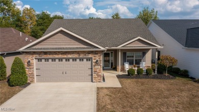 Lake Home For Sale in Seville, Ohio