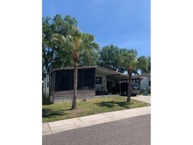 (private lake, pond, creek) Home For Sale in Zephyrhills Florida