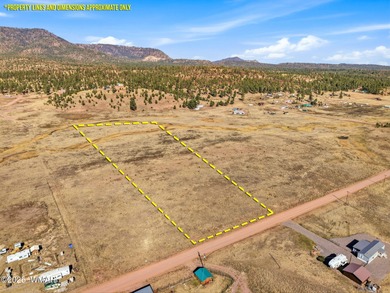 Lake Lot For Sale in Alpine, Arizona