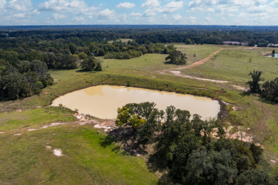 86.98 Acres in Athens! - photo 5