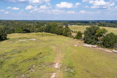 86.98 Acres in Athens! - photo 8