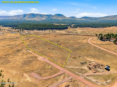 Lake Lot For Sale in Alpine, Arizona