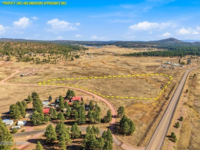 Lake Lot For Sale in Alpine, Arizona