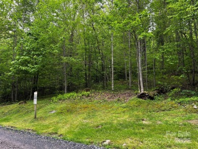 Mars Hill Reservoir Lot For Sale in Mars Hill North Carolina