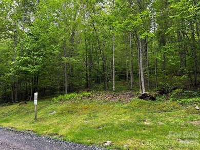 Discover the perfect mountain escape with this level, one-acre - photo 2