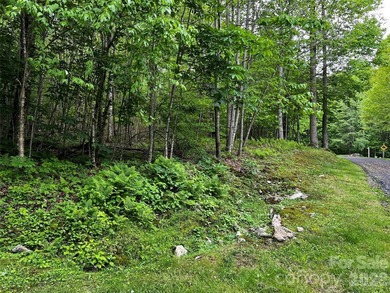 Discover the perfect mountain escape with this level, one-acre - photo 3