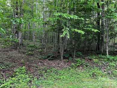Discover the perfect mountain escape with this level, one-acre - photo 4