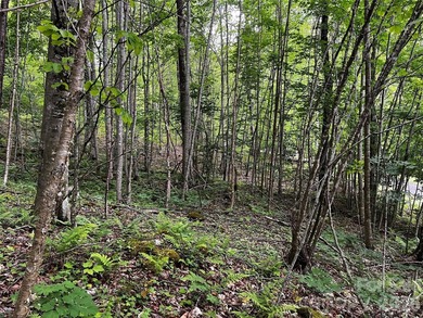 Discover the perfect mountain escape with this level, one-acre - photo 5