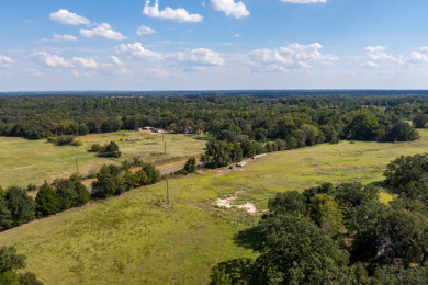86.98 Acres in Athens! - photo 9