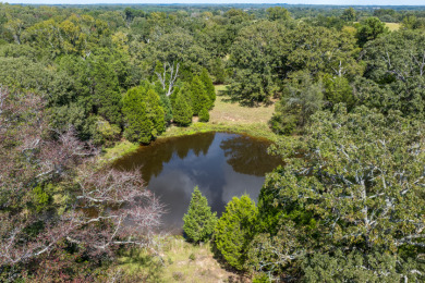 86.98 Acres in Athens! - photo 6
