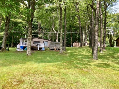 Lake Home Sale Pending in Plymouth, New York