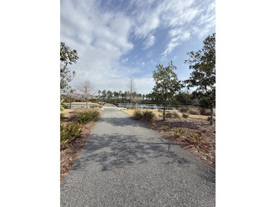 Welcome to this highly sought-after Huff Coral Bean floor plan - photo 28