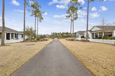 Welcome to this highly sought-after Huff Coral Bean floor plan - photo 38